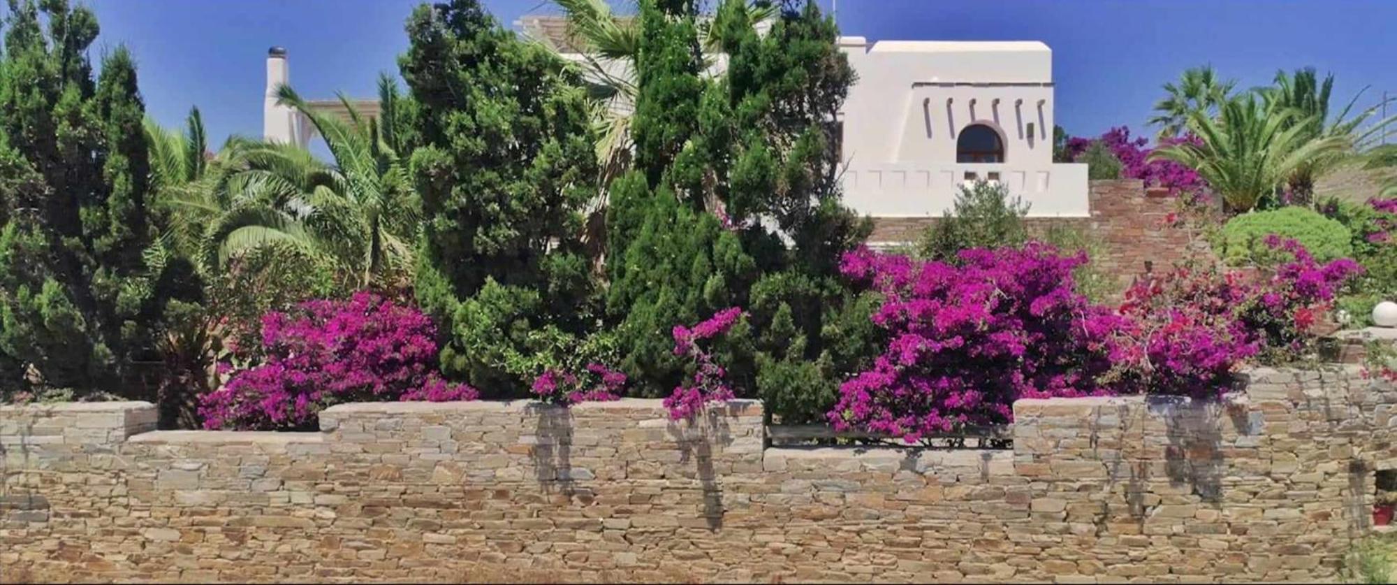 Villa Pari Manda Agios Prokopios  Exterior photo